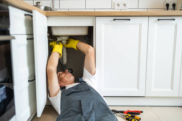 Best Sewer Line Replacement  in Collierville, TN